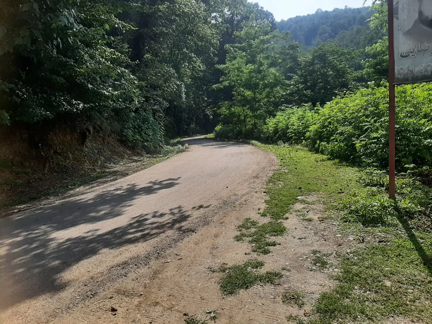 زمین‌ باغی