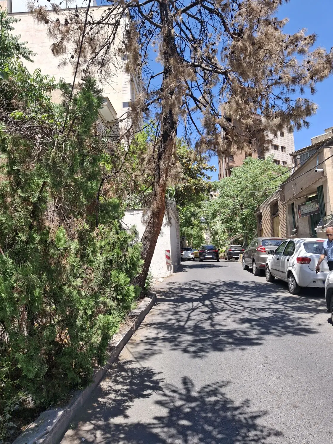 زعفرانیه مستغلات