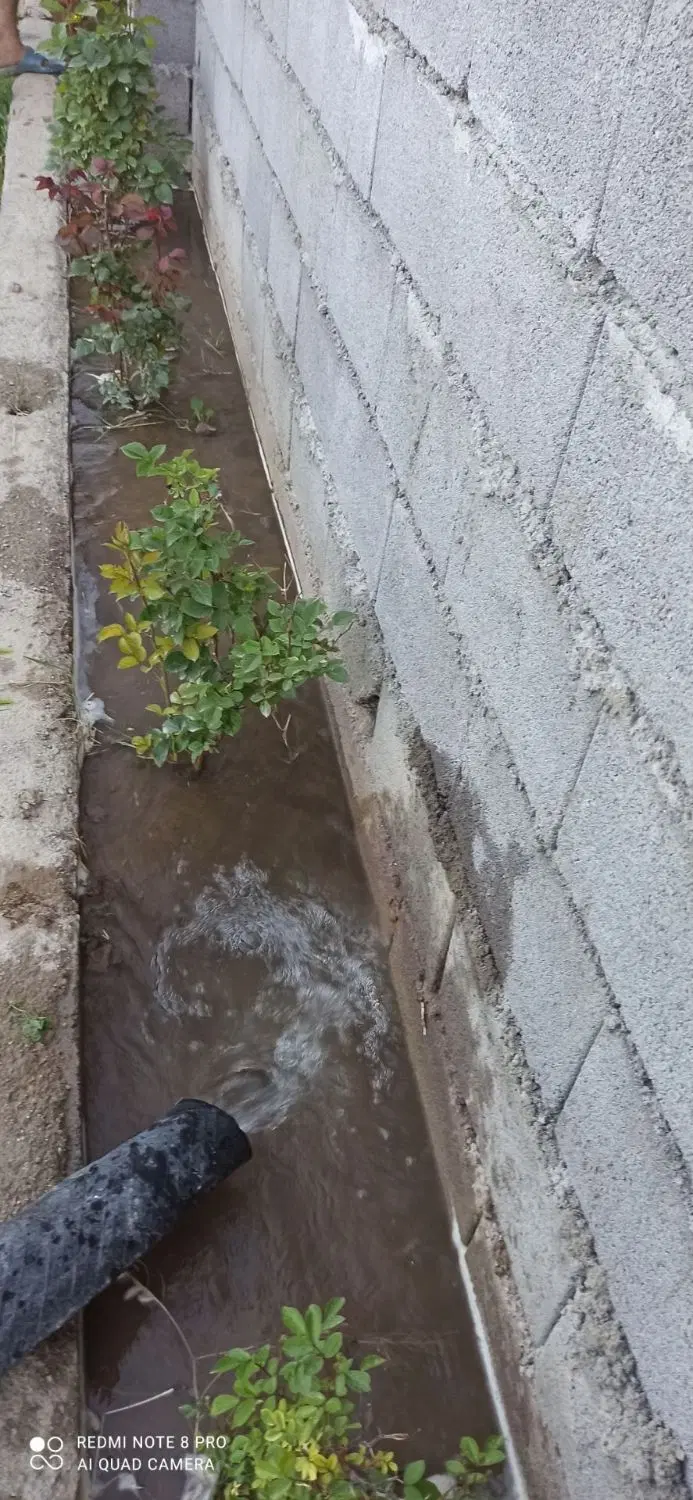باغچه با درختان میوه الوان