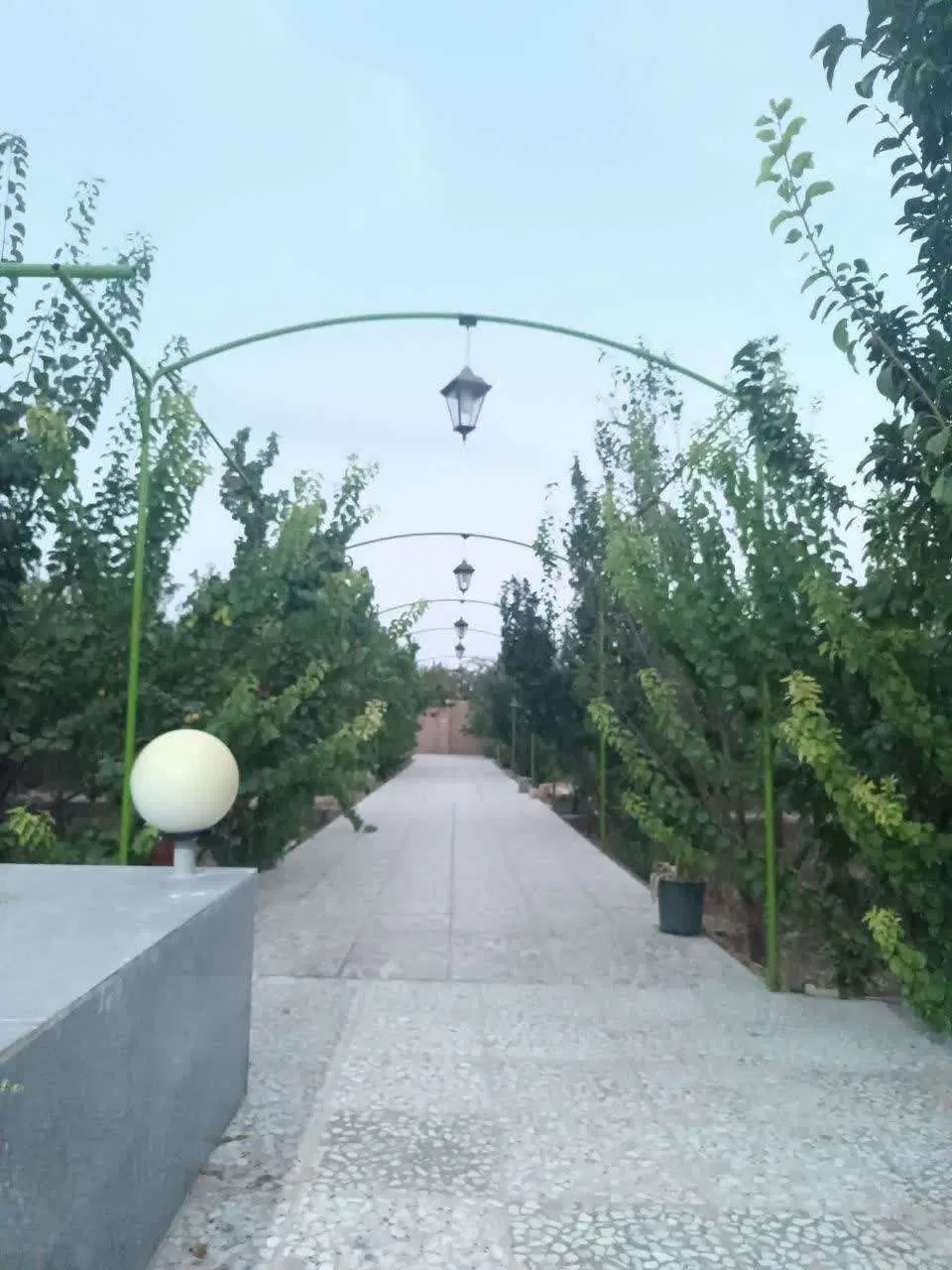 فروش باغ