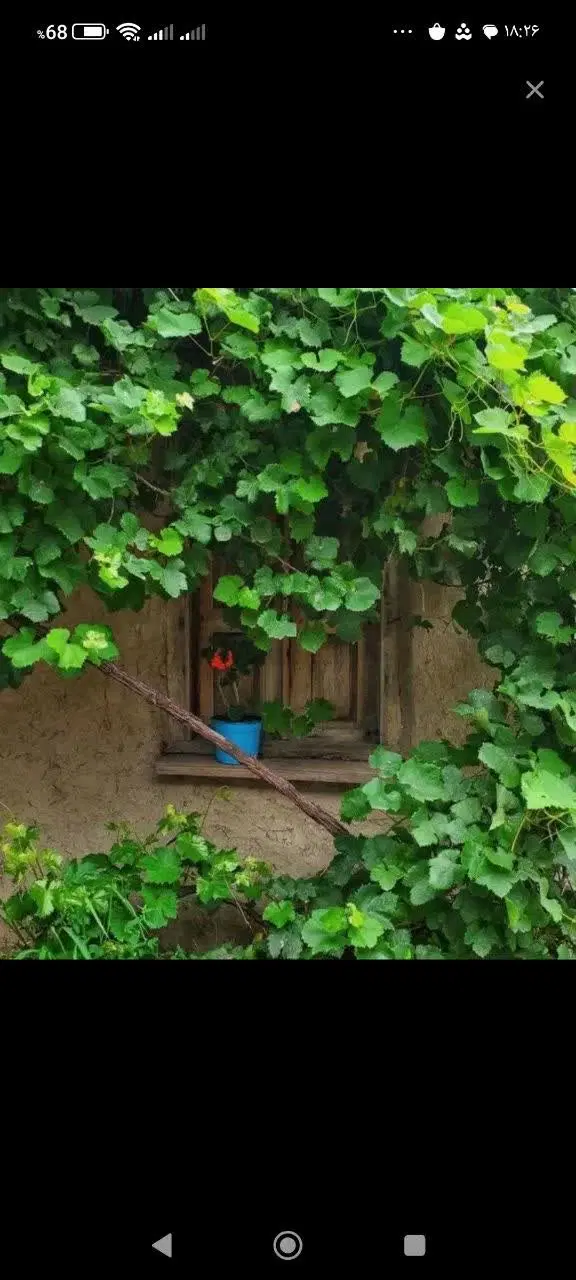 اجاره منزل دو طبقه دربست خیابان کرمانشاه