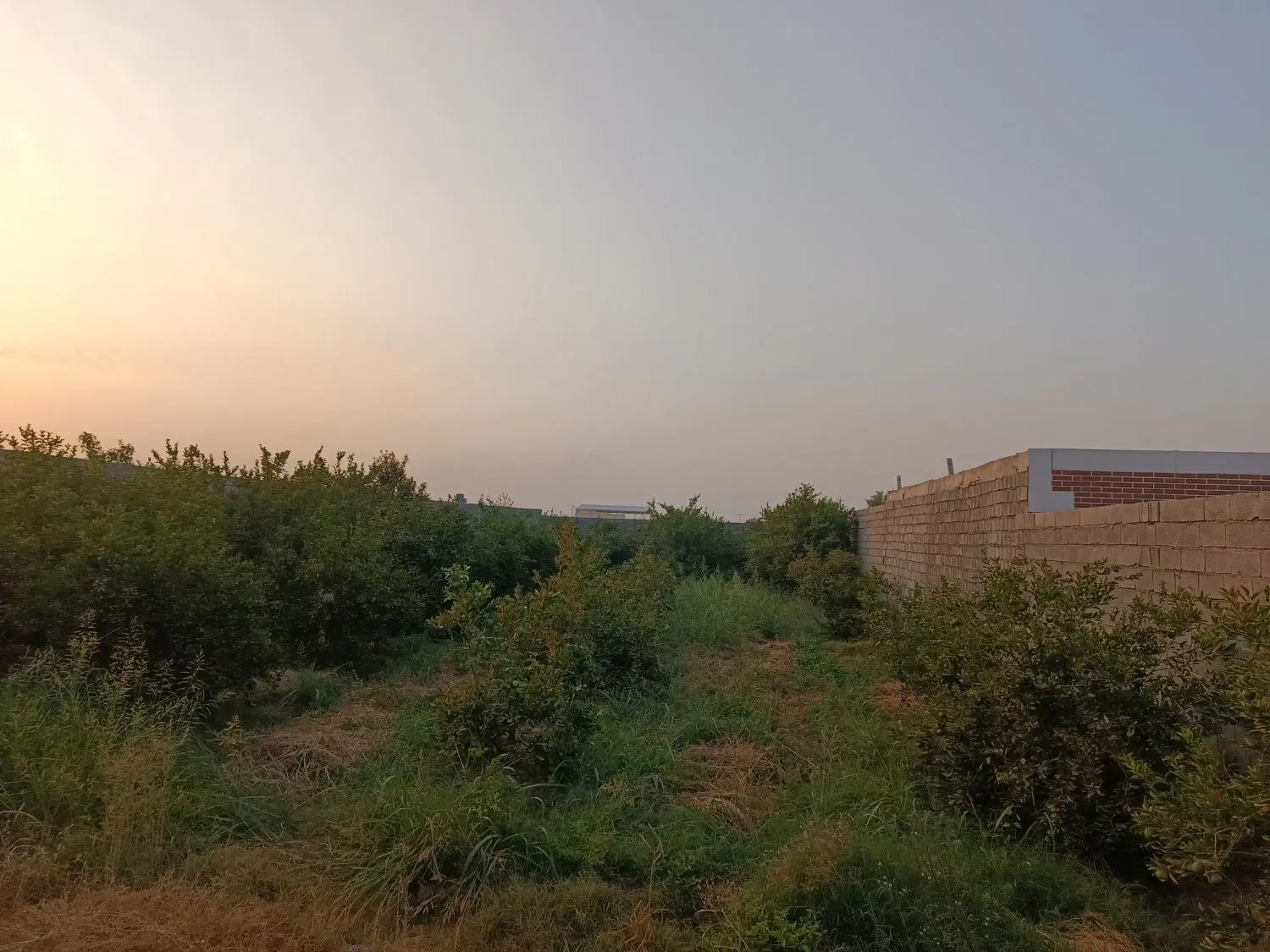 باغچه بندبال