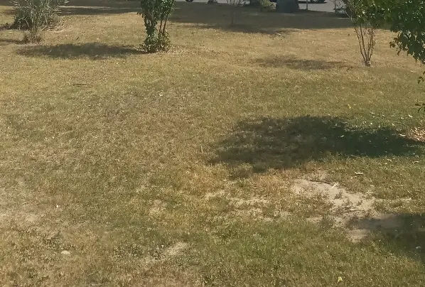زمین ۱۴ متری تجاری سند تک برگ