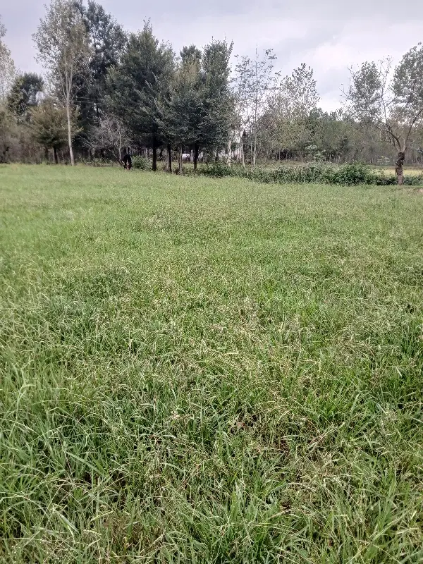 ۱۵۰۰مترزمین درشمال