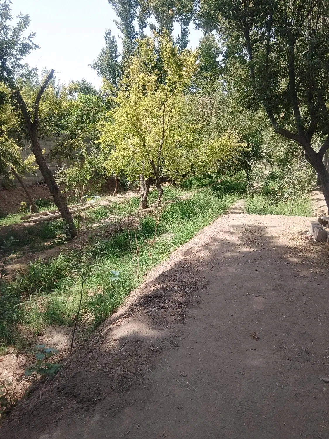 باغ550متری سنددار روی کانال خمینی شهر