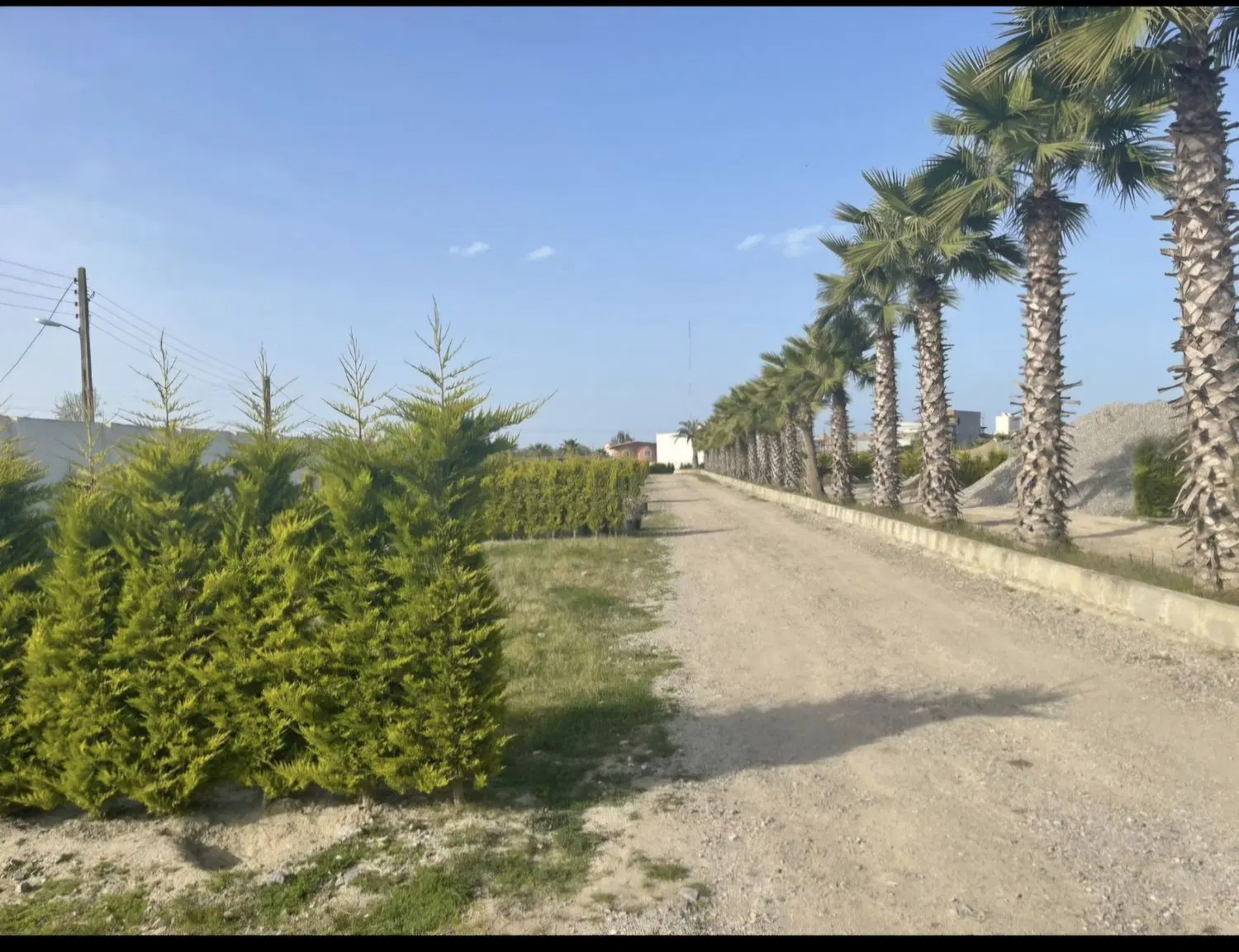 سرخ رود جنب شهرک خانه دریا 15000 هزار متر