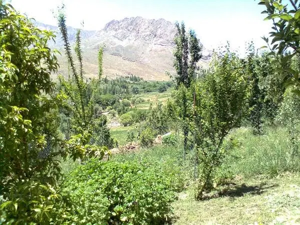 فروش زمین زراعی ومسکونی در روستای زیبای حتکن