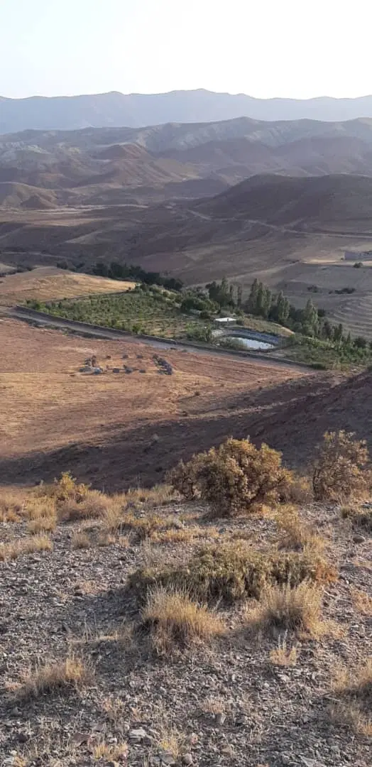 زمین فروشی