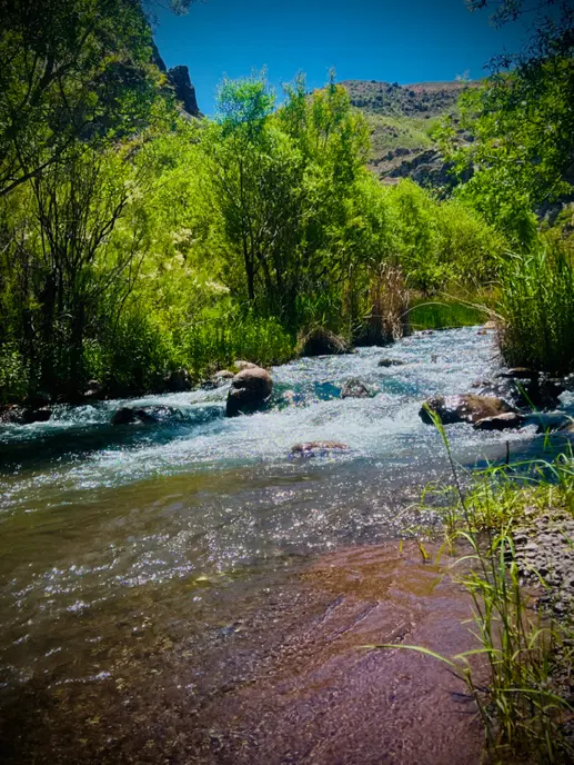 باغچه ۸۰۰ متری چهار دیواری خوشنام