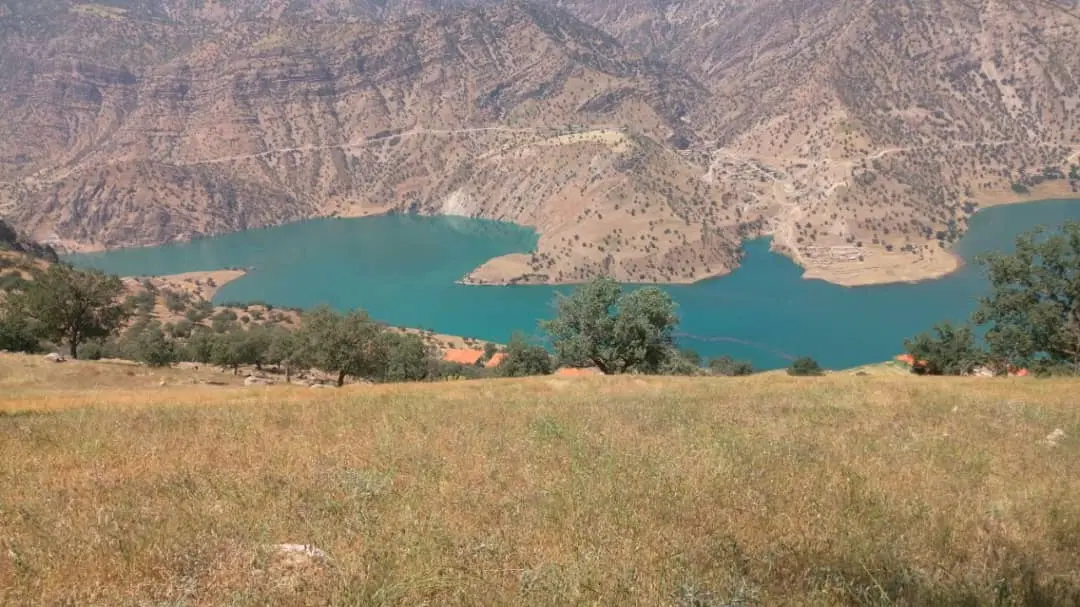 زمین