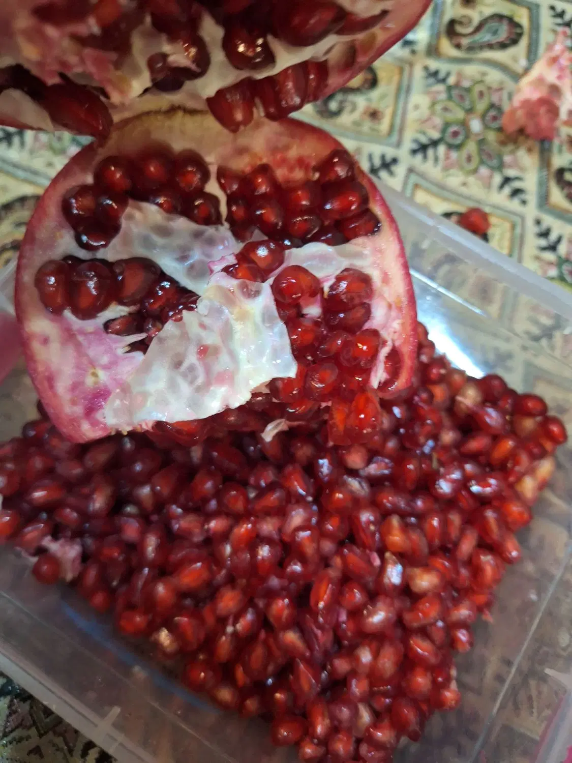 فروش باغ