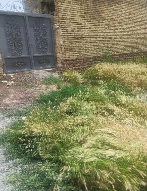 فروش زمین استثنایی