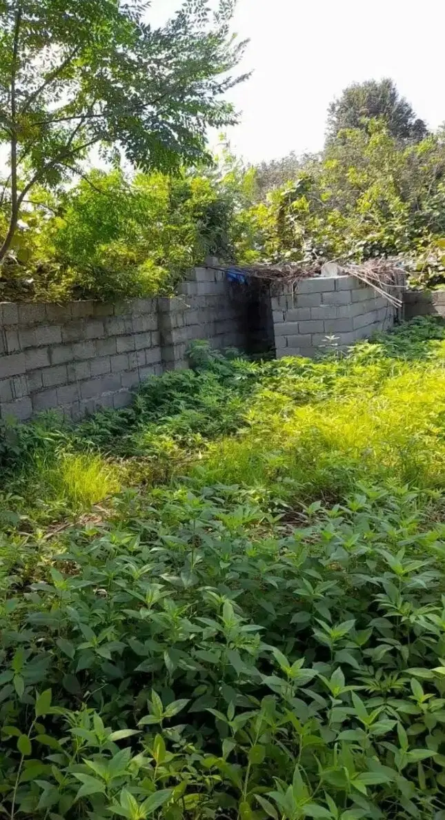 2 قطعه زمین فروشی آماده فروش