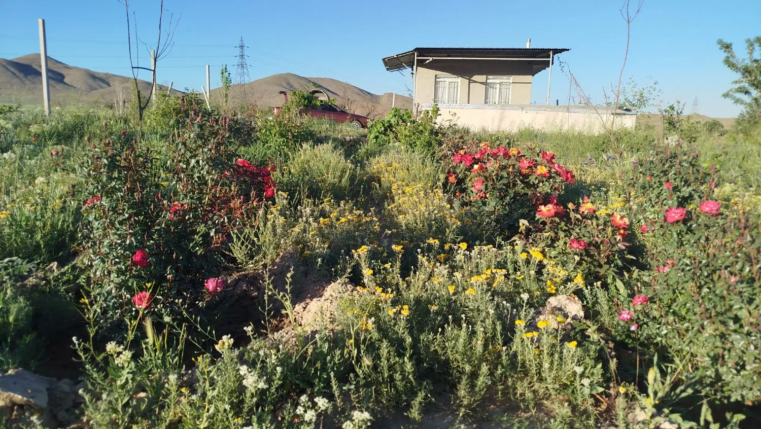 زمین باغ