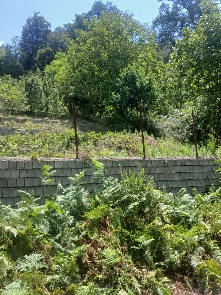 باغ خوب در مازندران