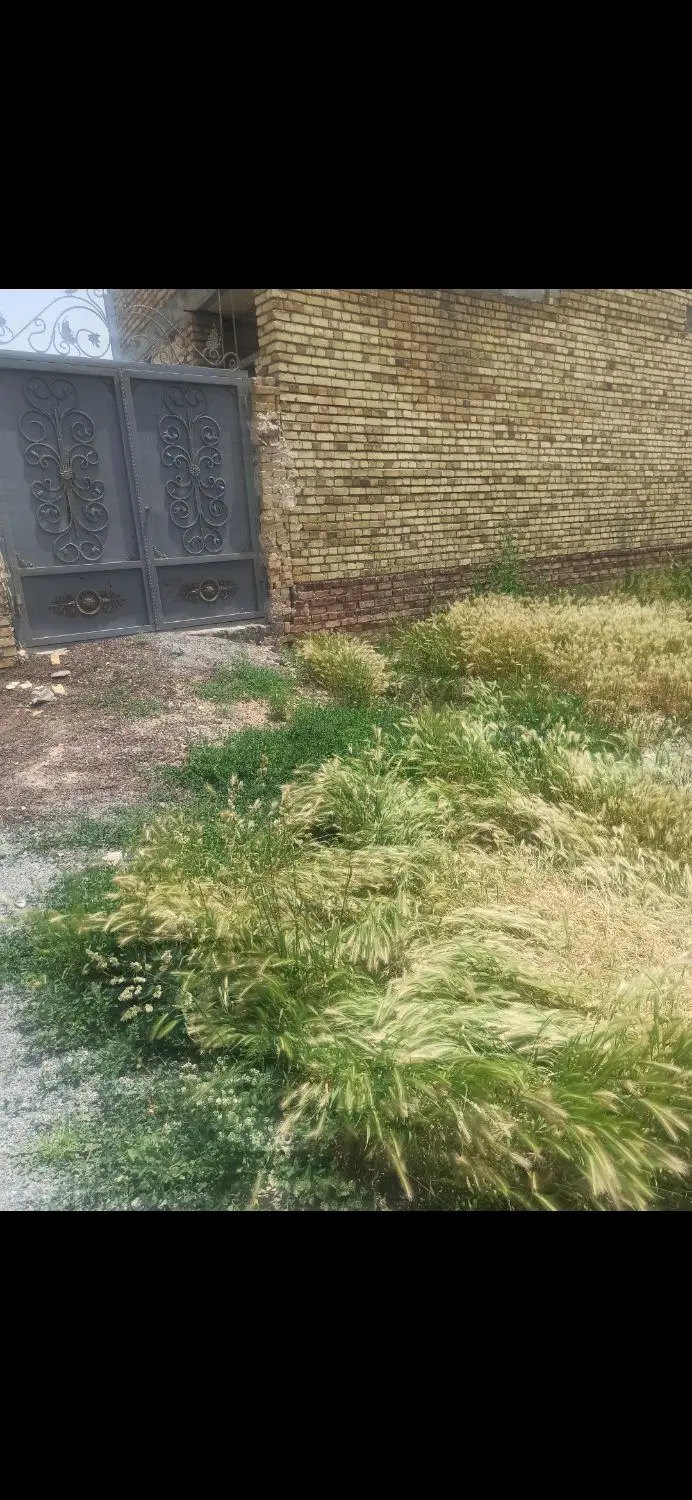 زمین قصور