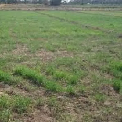 زمین مسکونی در روستای خوش و آب هوای داکان قزوین