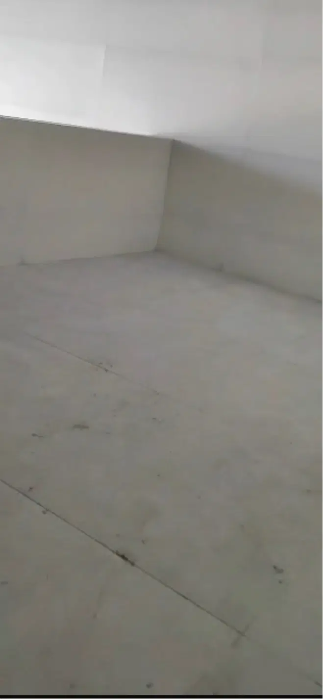 رهن داده میشود