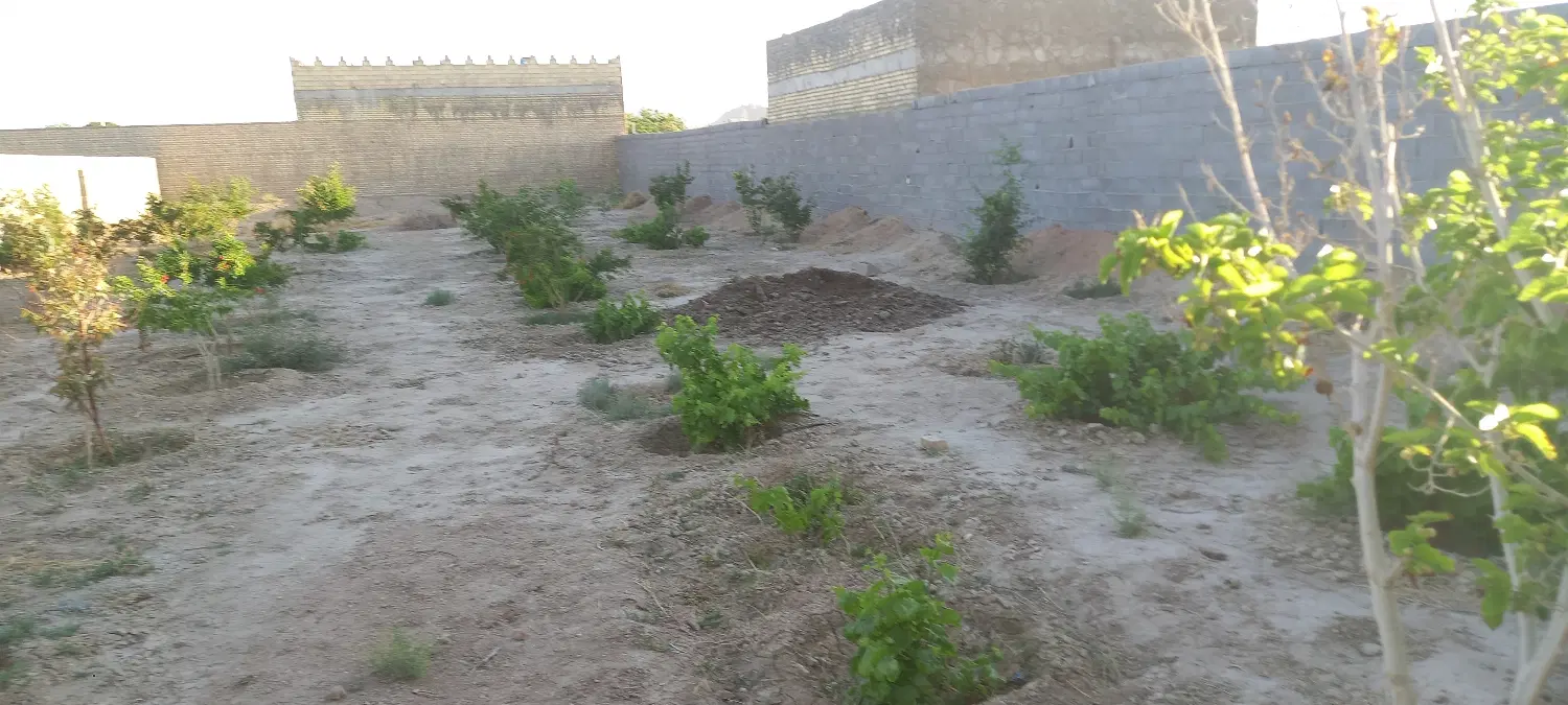 باغ ۴دیواری باآبیاری قطره ای
