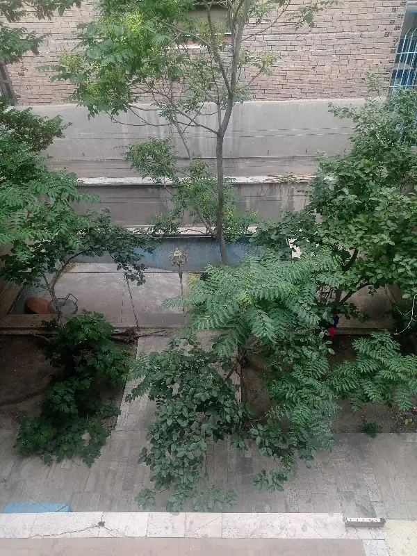 رهن و اجاره واحد۲۰۰متری