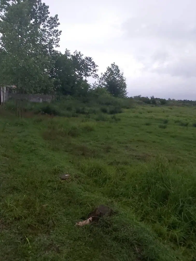 زمین مسکونی مدارک کامل