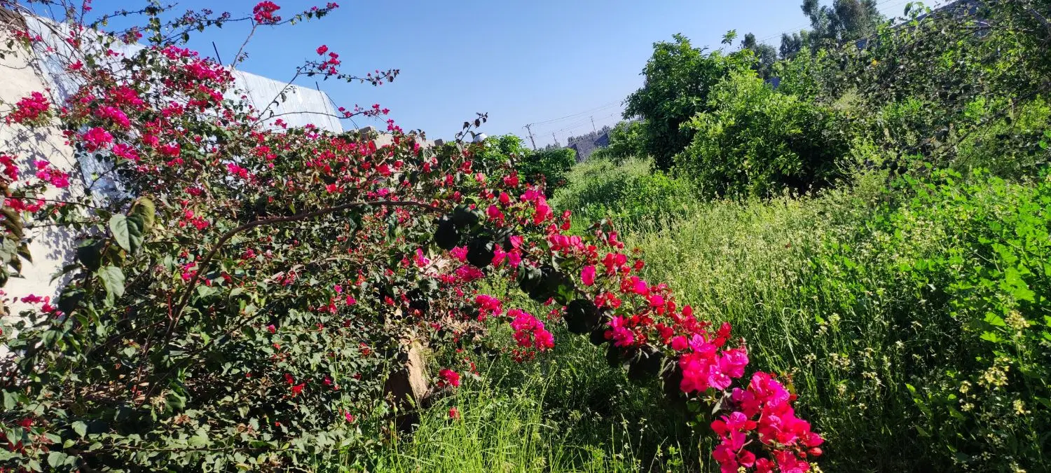 مشارکت در احداث مجتمع تفریحی نزدیک شهر