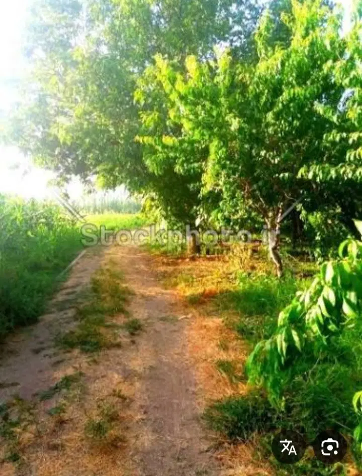 فروش خونه باغ بحرجاده اصلی