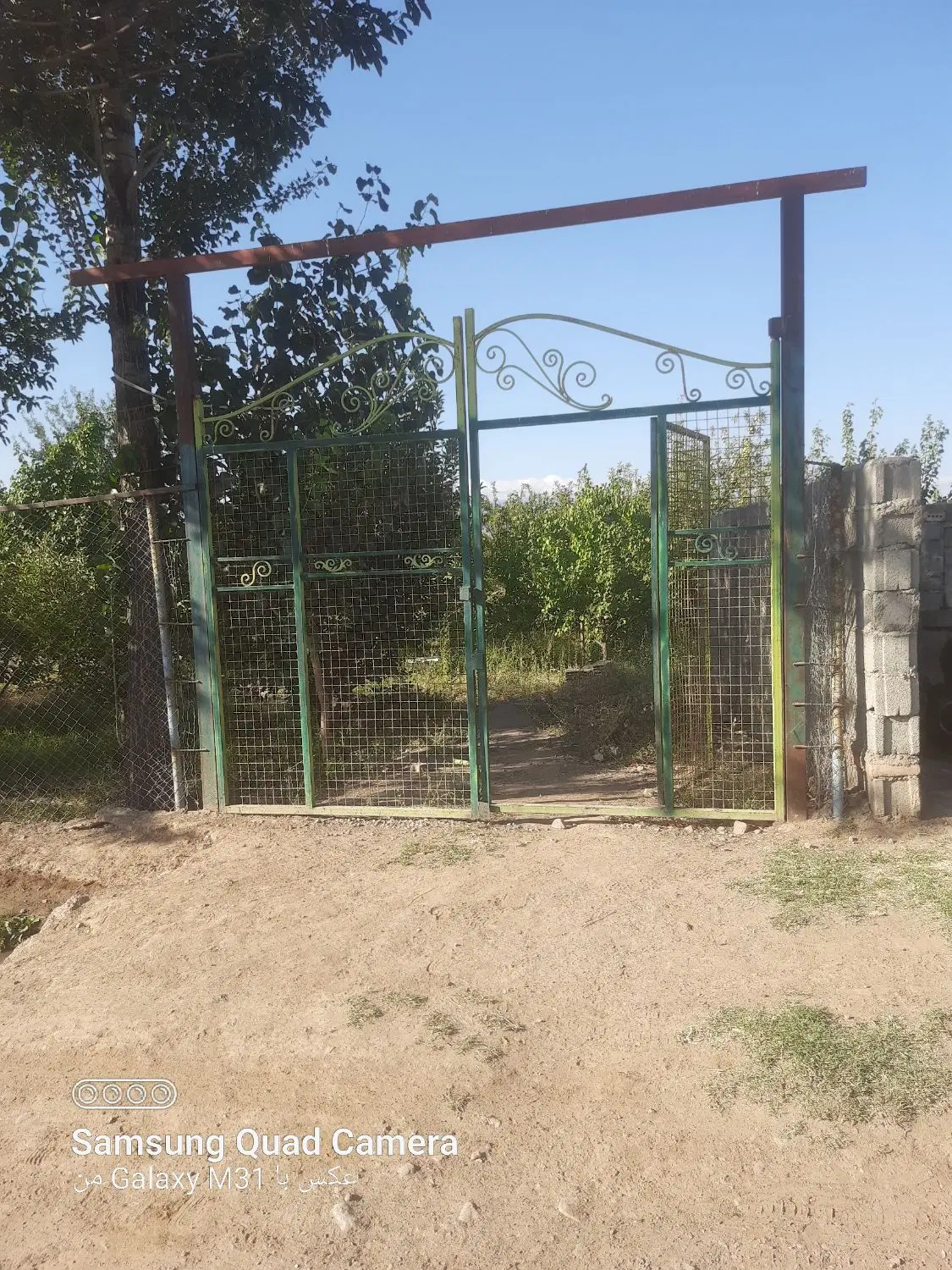 فروش باغ در روستای گلزار