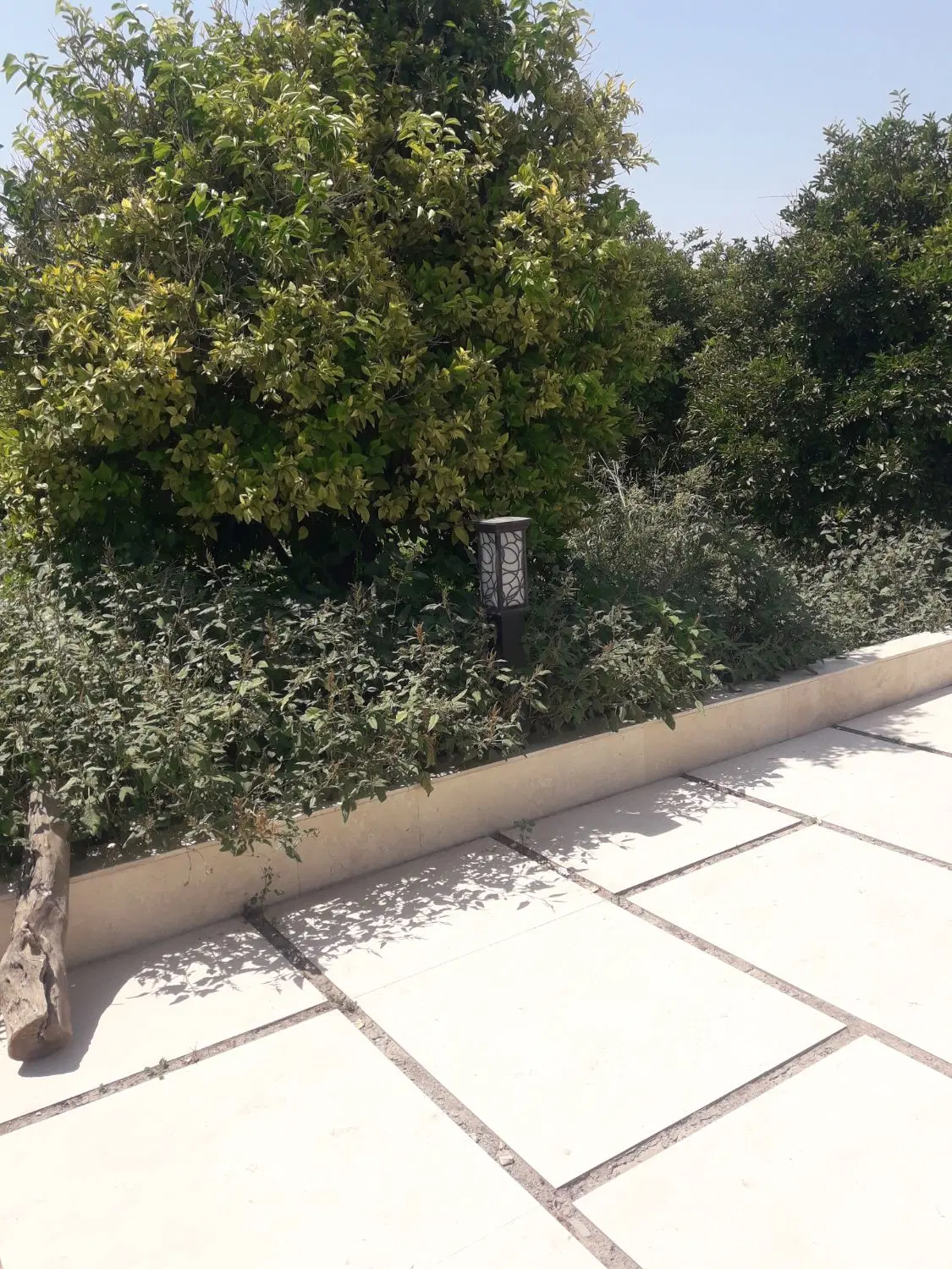 باغ در اندیمشگ  ۹۵۰ متر لوکس