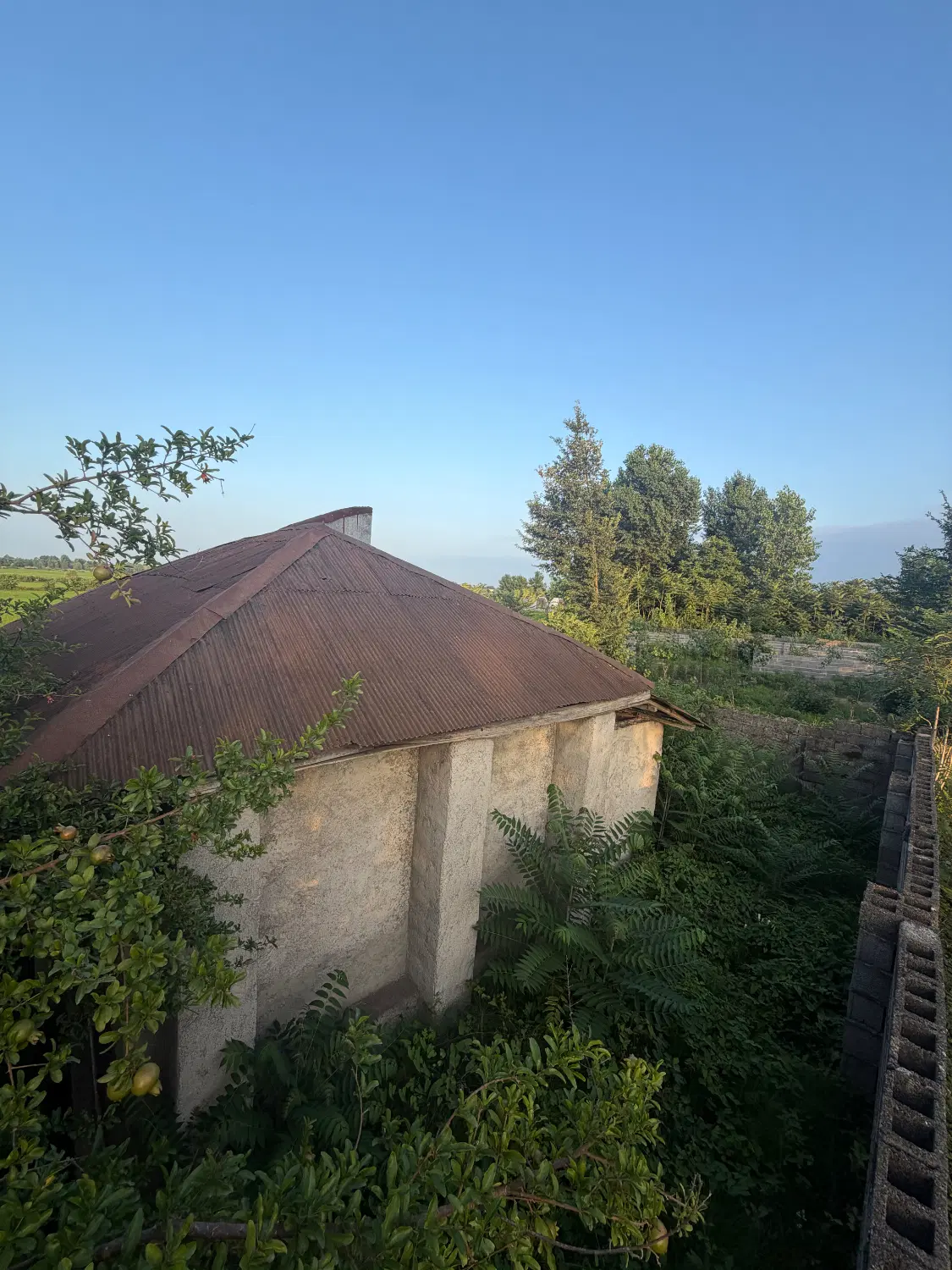 ۲۹۸ متر زمین مسکونی بر اول روستای طش