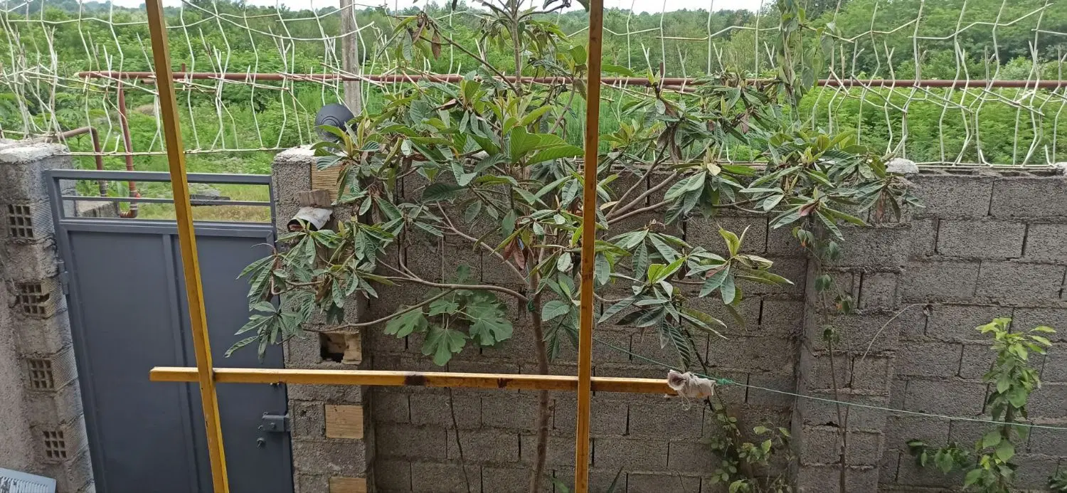 خانه ویلایی رشت