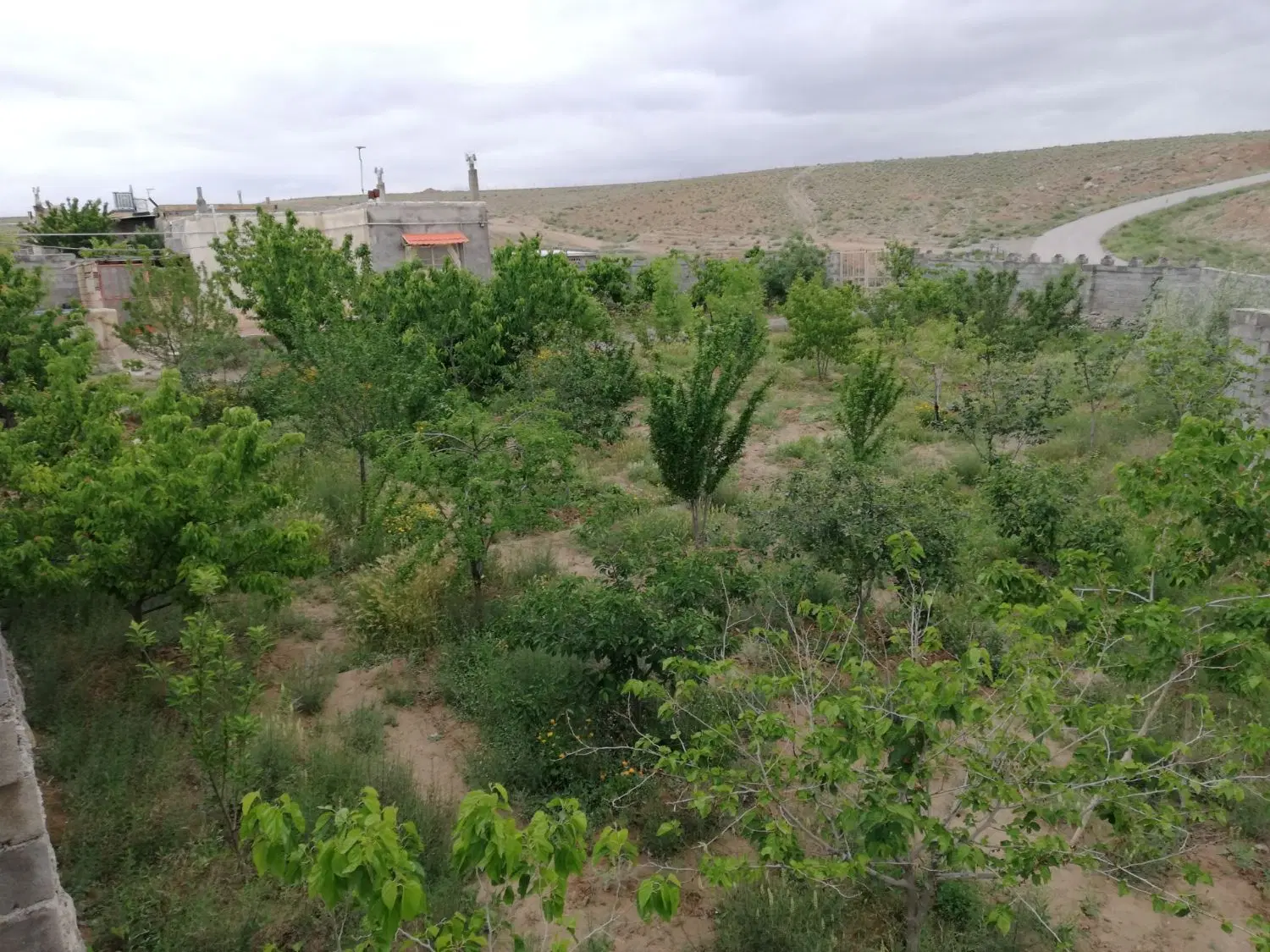 خانه ی مسافر اجاره‌ی سوییت
