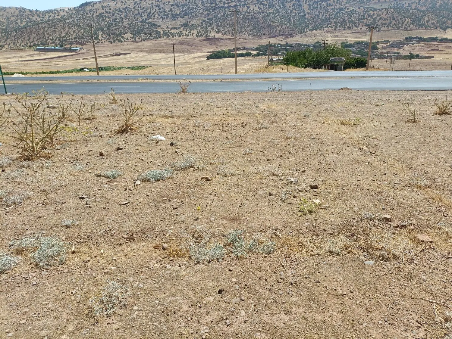 زمین قبرستان سرخه لیزه