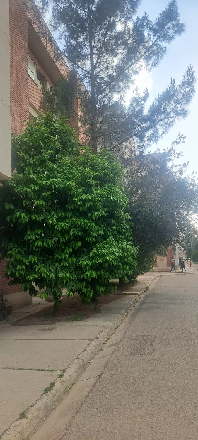 رهن منزل نقلی