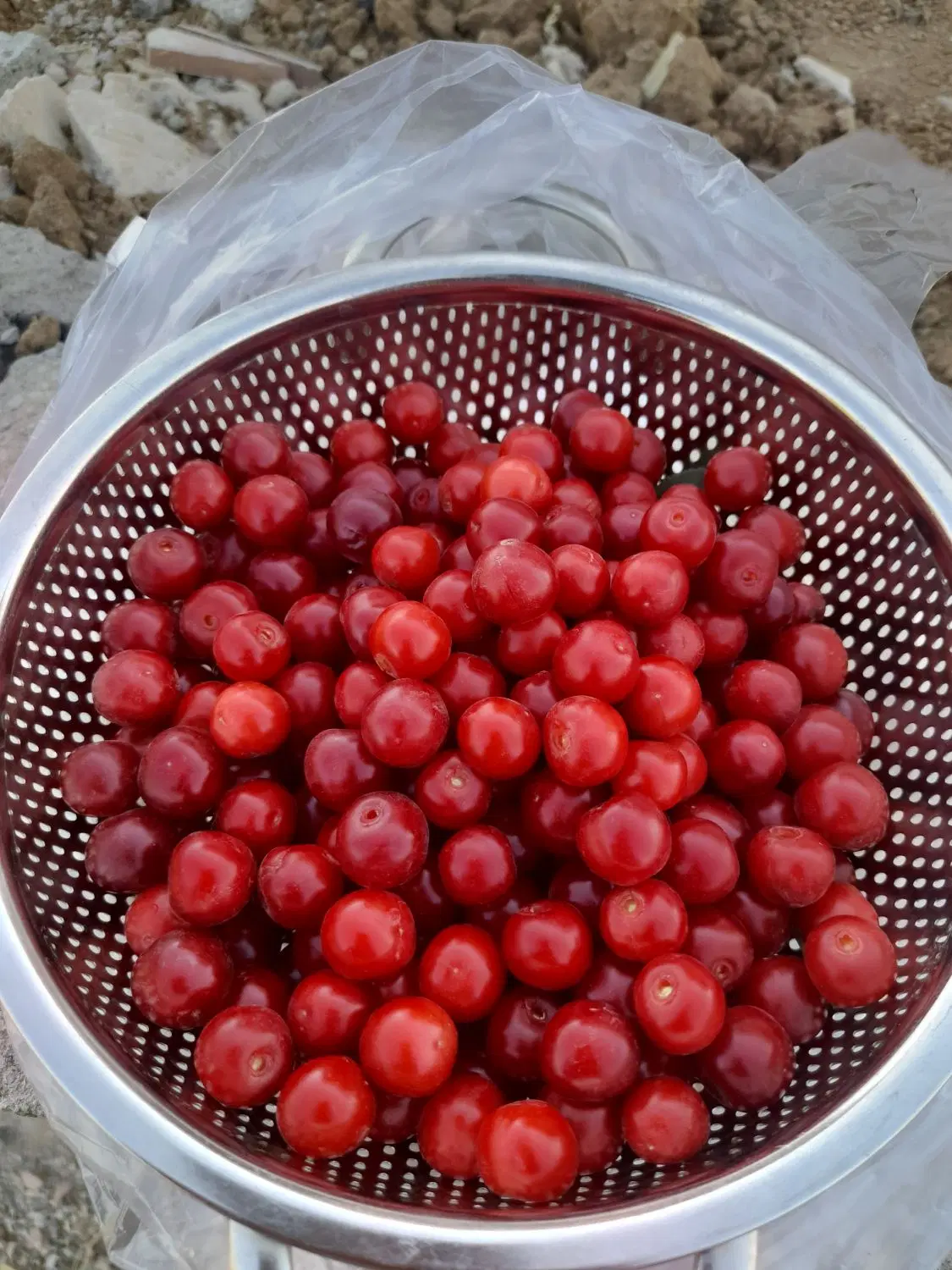 باغ