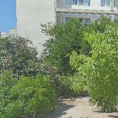 ویلایی بزرگ1000متری4خواب_بازسازی شده_قدوسی غربی