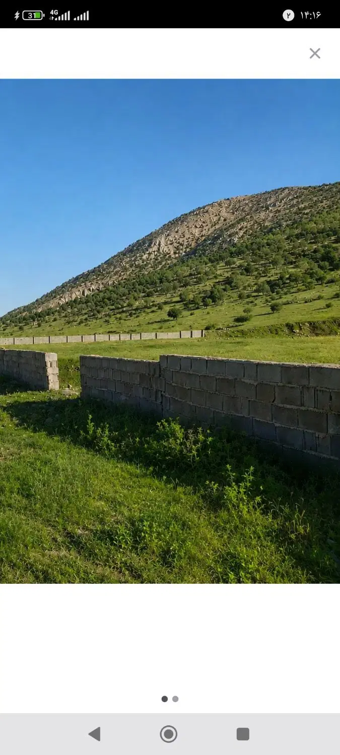 زمین