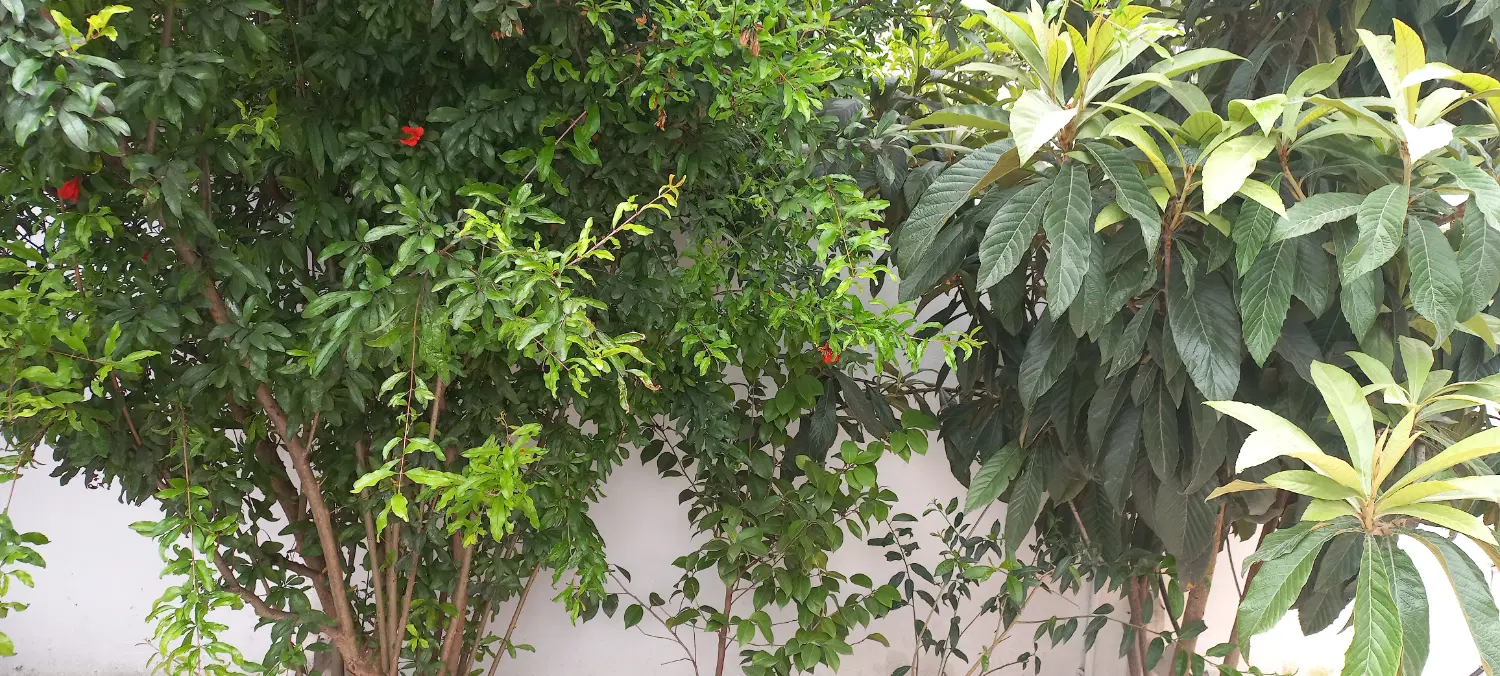 ۵۰۰متر زمین خرم آباد، تیرکده علیا