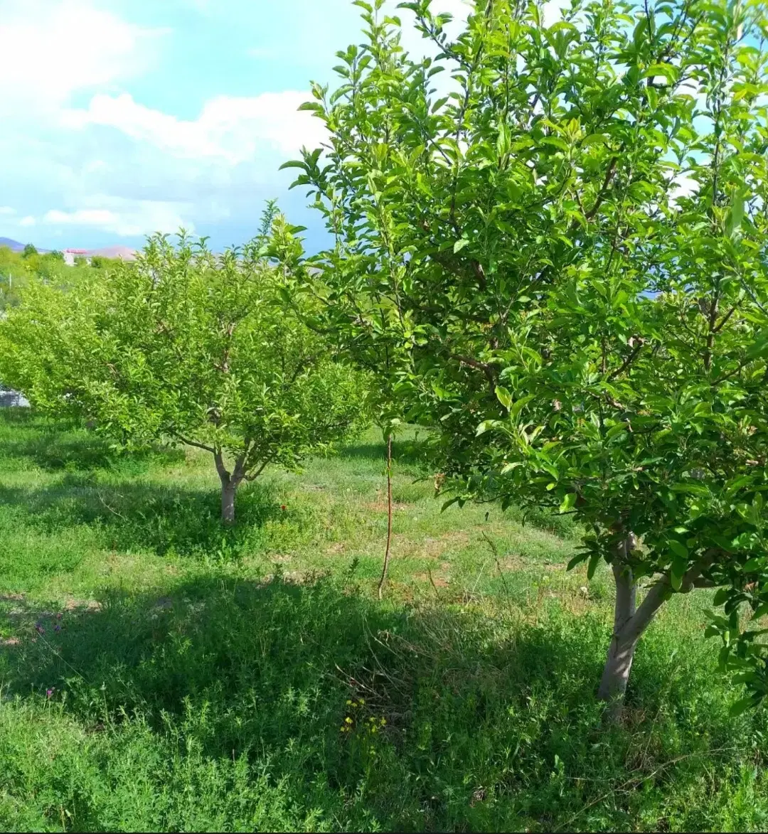 باغ قطره ای اهر