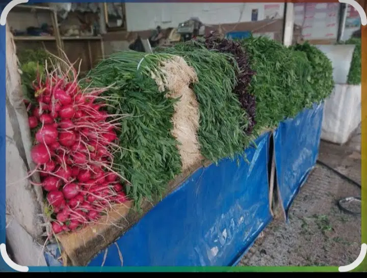 میز سبزی اجاره داده میشه