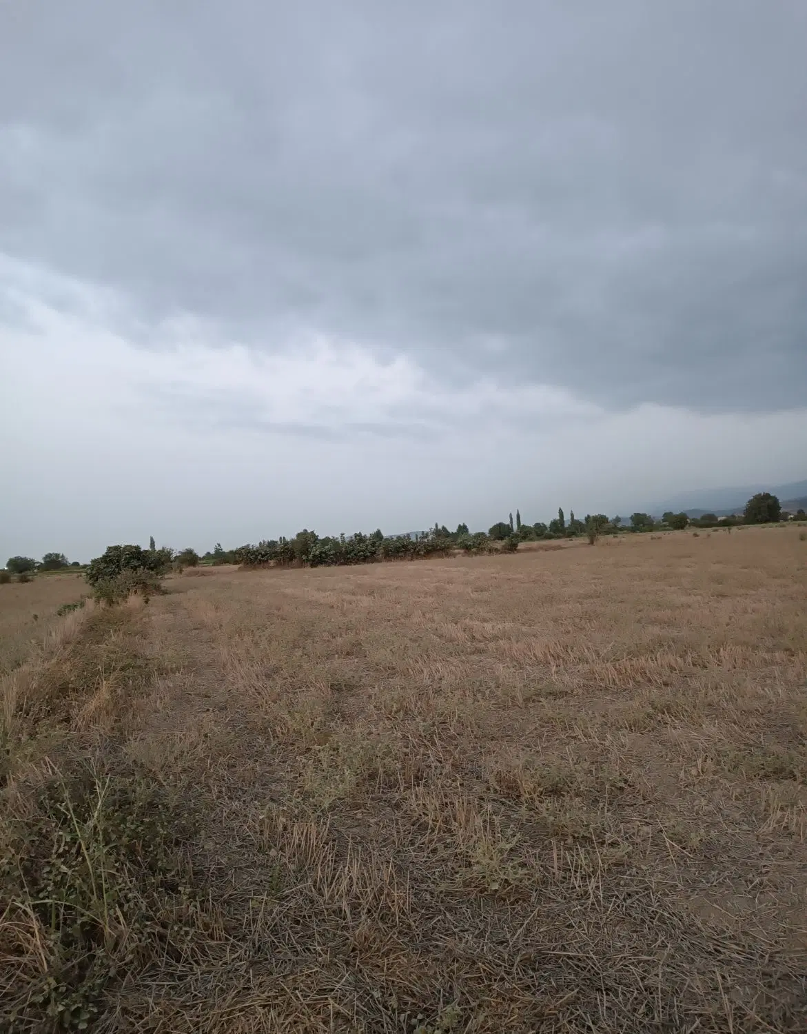 زمین کشاورزی در روستای اسپومحله