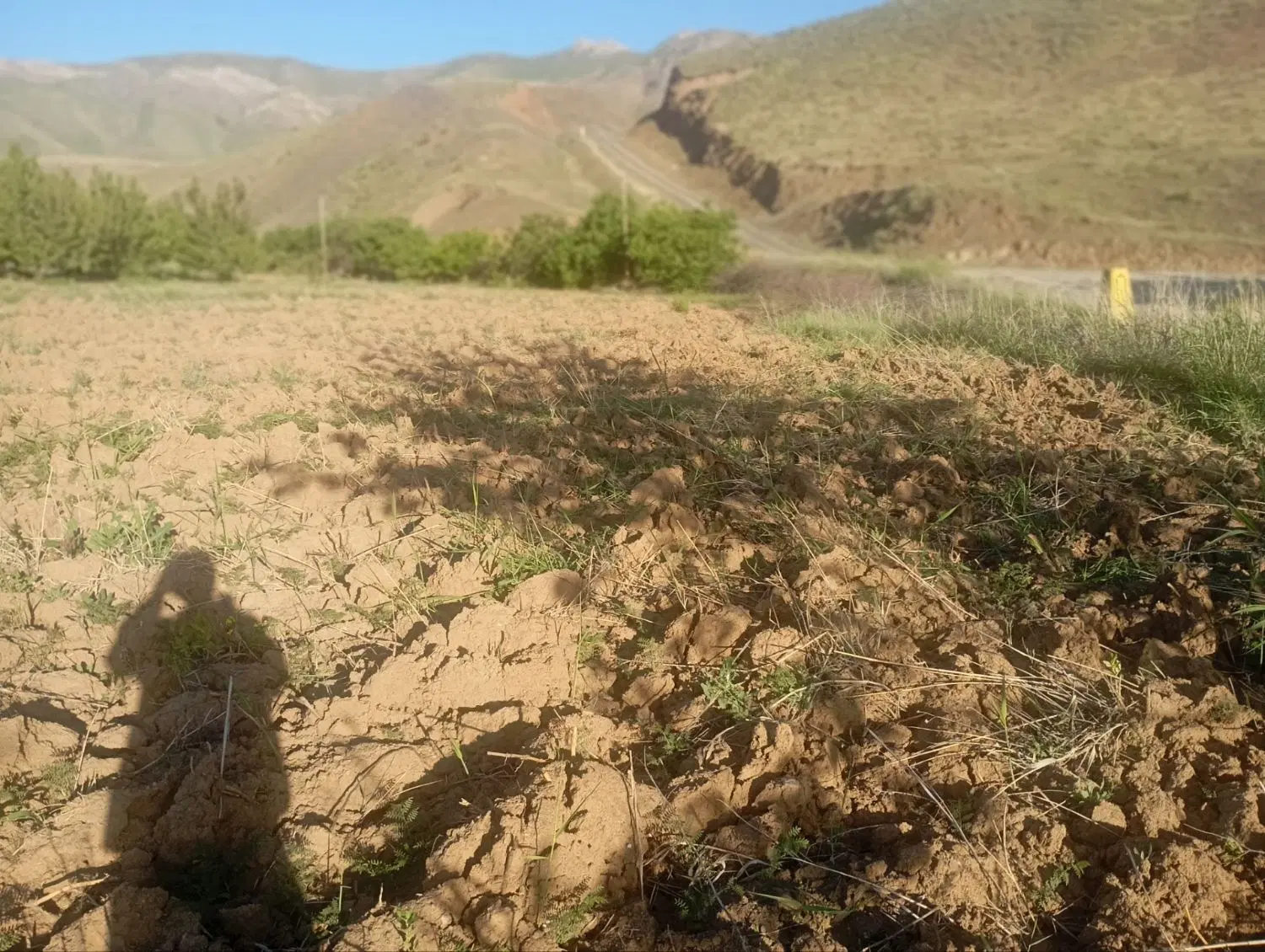 زمین کشاورزی