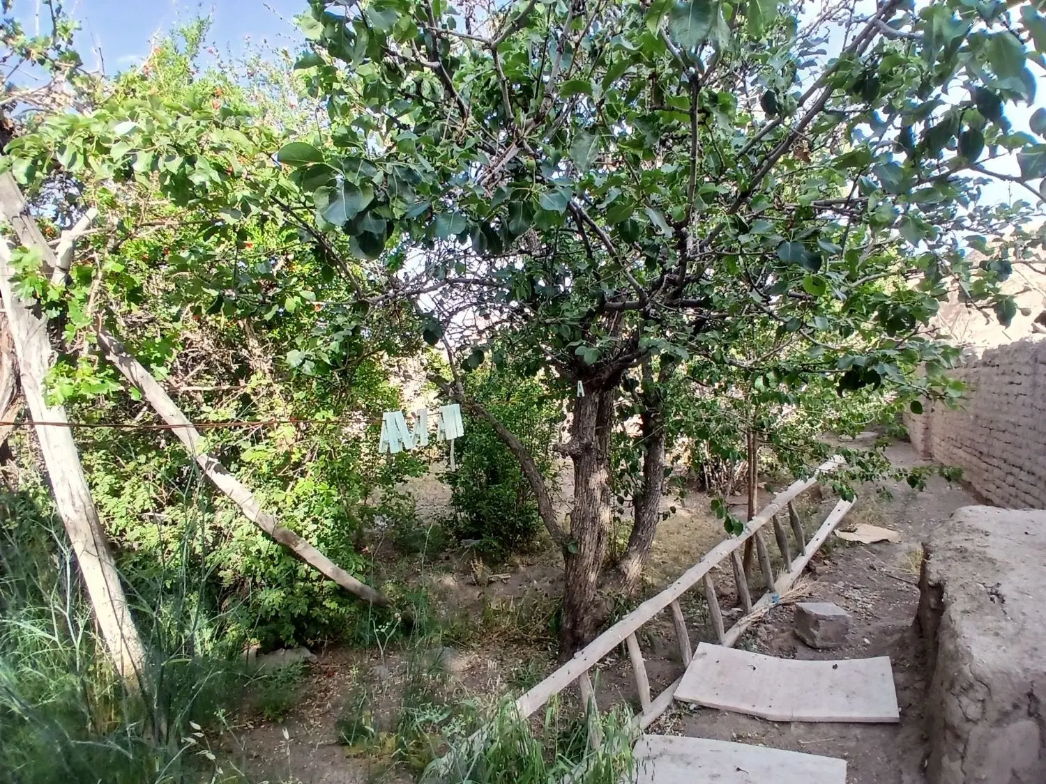 سلام منزل فروشی ۱۲ قصب کوچه عاشقان ولایت ۳۰