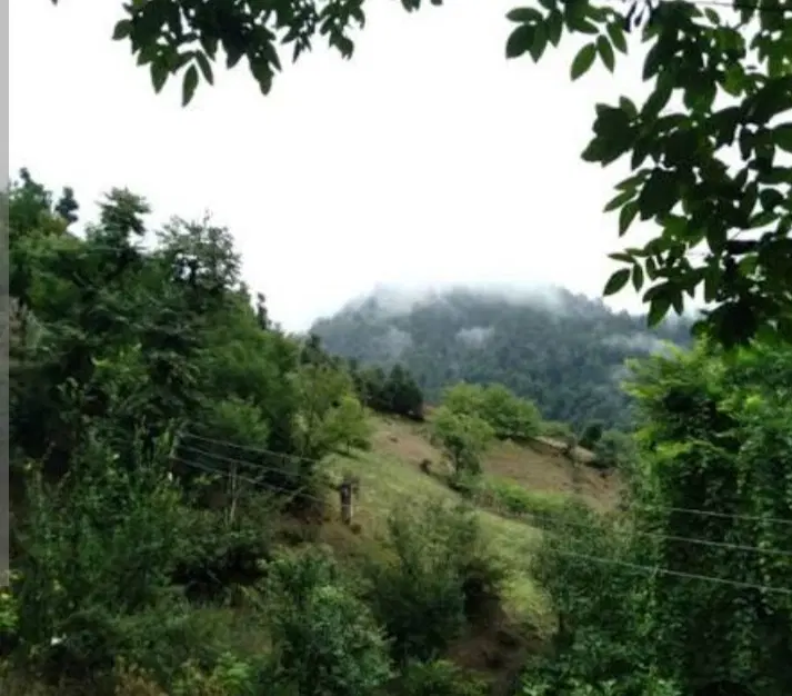 زمین مسکونی روستای لتوم 200متر