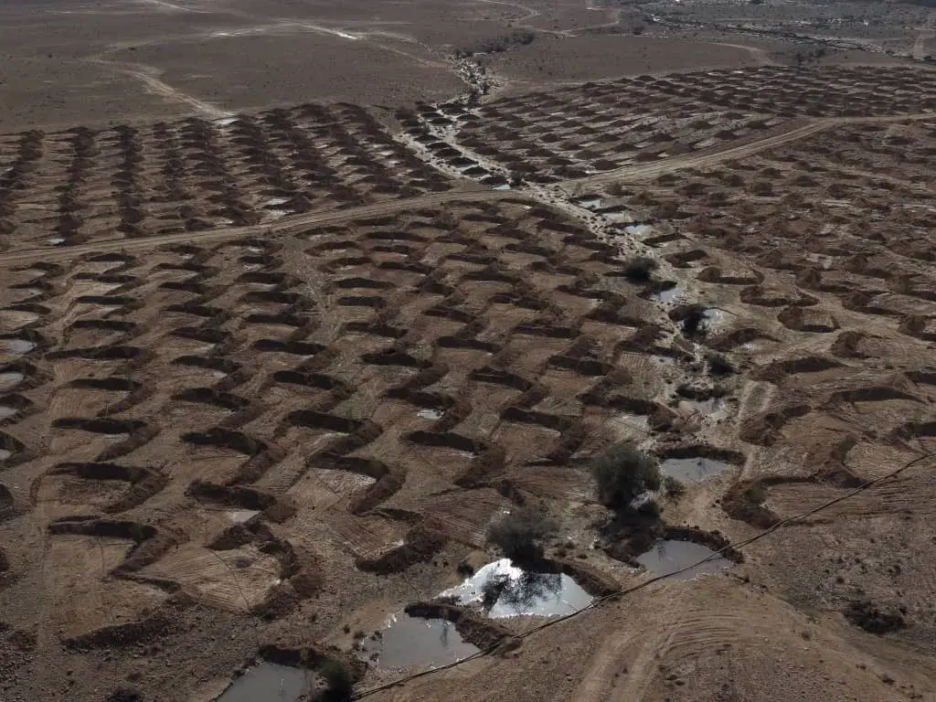 زمین زراعی باغی تک برگ