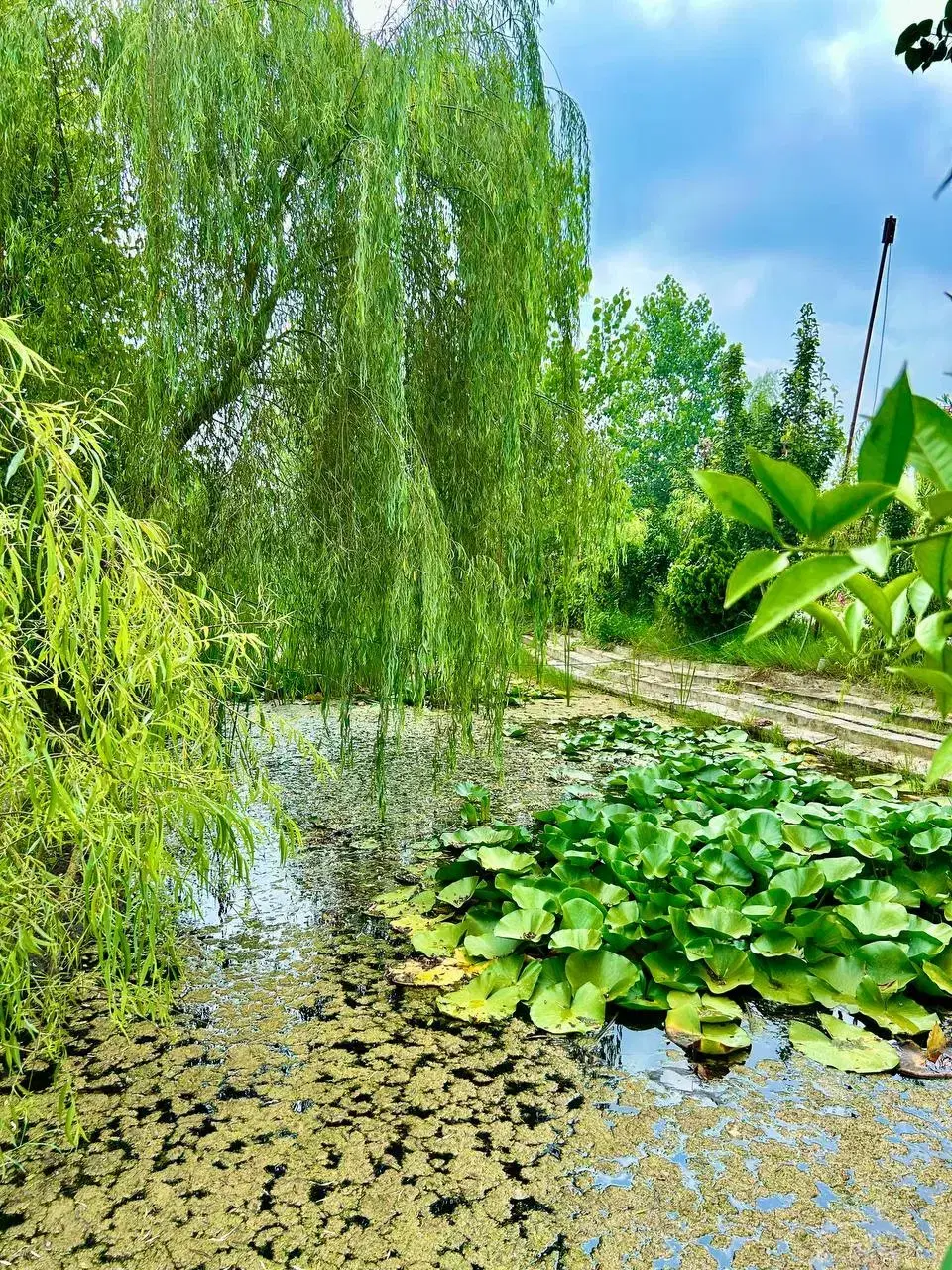 یک وبلا_یک طبیعت بکر_هزاران خاطره