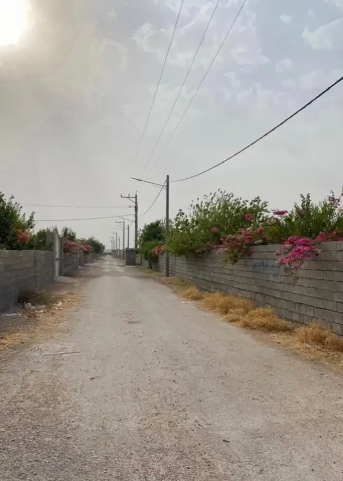 باغ و باغچه