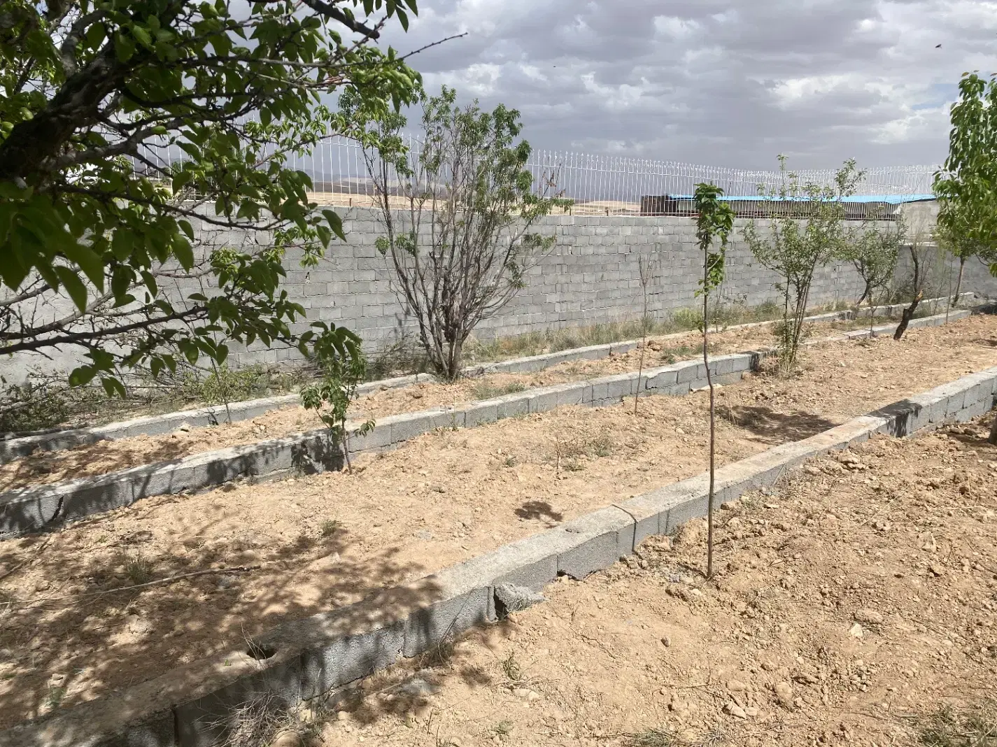 فروش باغ
