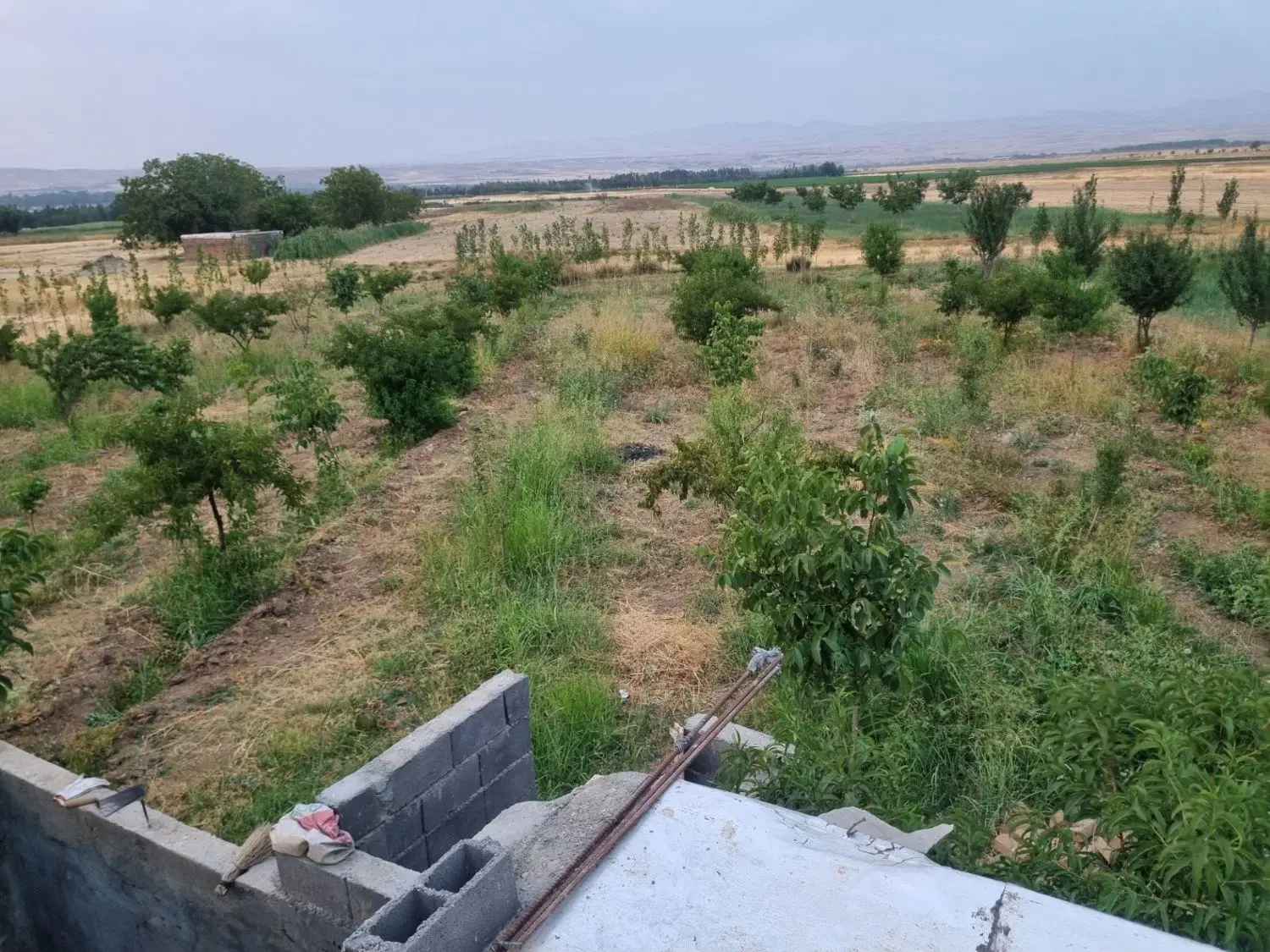 باغ خانه دار بروجرد