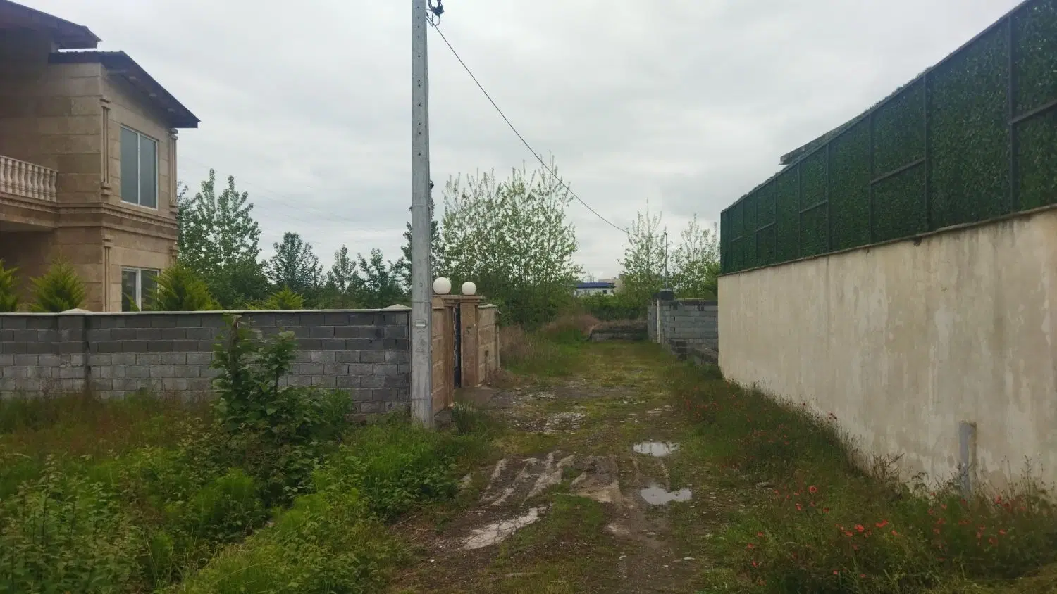 یک قطعه زمین در شمال کشور